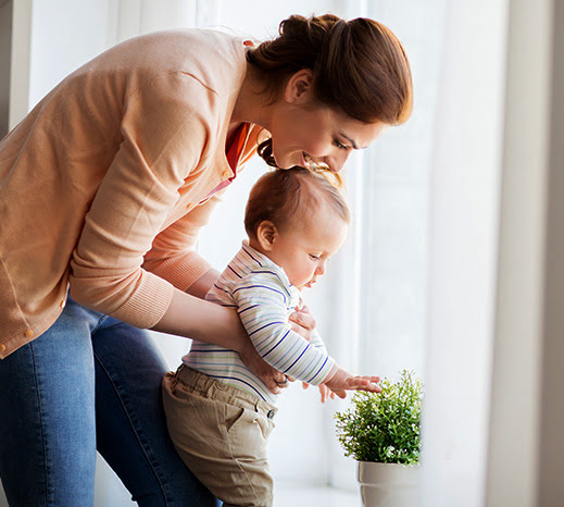 How to Improve Indoor Air Quality At Home Image