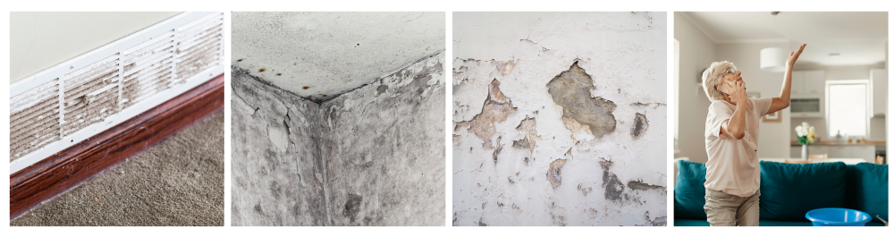 Mold buildup in a dirty air duct, indicating poor air quality. Black mold forming along the edge of a room. Damage on a wall caused by dampness and moisture.Senior woman calling a technician while collecting water leaking from the ceiling in the living room, highlighting plumbing leaks as a common source of mold.